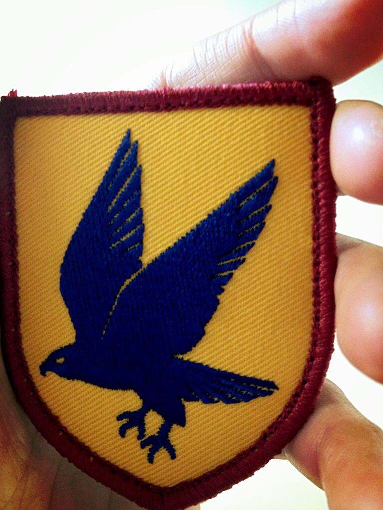 ChoeDavid's tweet image. Theme of the week #bluefalcon