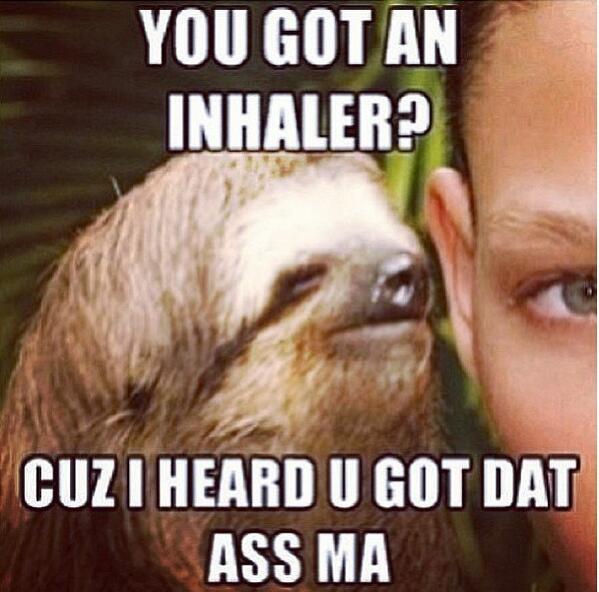 jooeeeyyyyyyyy's tweet image. #rapesloth so funny 😂