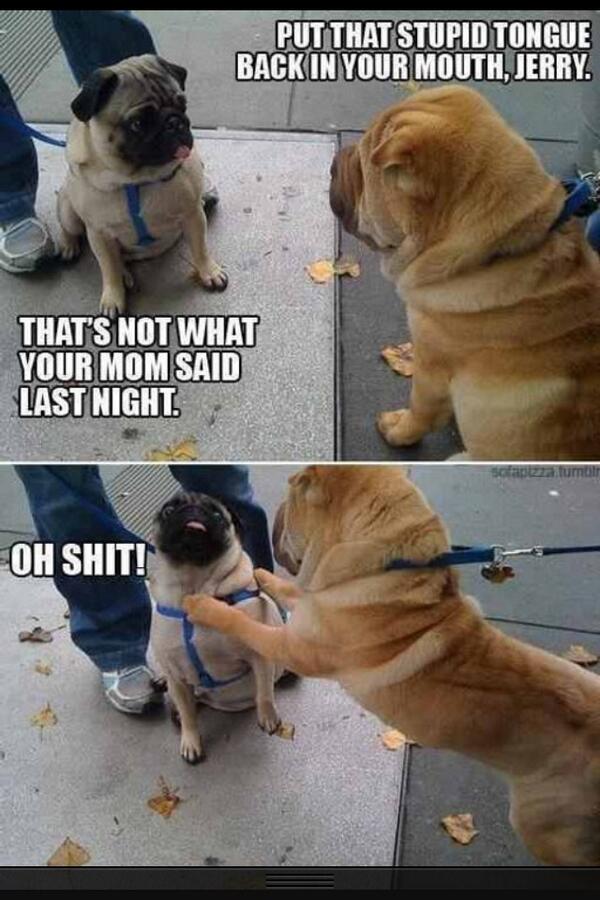 thealias_'s tweet image. 