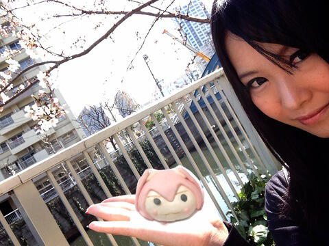 みく饅頭と桜(*&acute;&forall;｀*)☆ http://t.co/Vc9huFEict