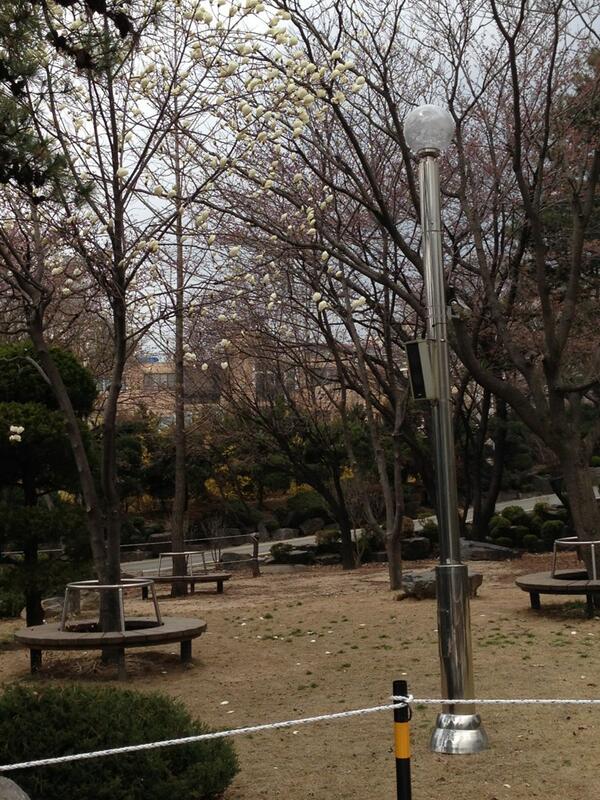 ssgho23's tweet photo. 피어날날을기대하며  #cs_comin RT http://t.co/fOWLTTdqH3