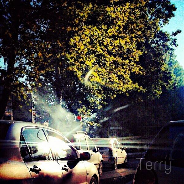 Igers_Salerno's tweet image. Happy sun. #webstragram #goodmorning #sunrise. #photo_tag #photowall. #scatto_italiano #col... bit.ly/10O4V7m