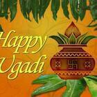 ---
---
Sent by WhatsApp