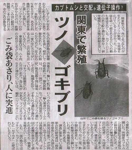 ウム 萬画倶楽部 Auf Twitter マジか カブトムシと交配か遺伝子操作 ツノゴキブリ関東で繁殖 輸入業者がブームとなっている外国産 カブトムシにゴキブリの遺伝子を入れ たものが逃げ出し 外国産カブトムシは低温になると死ぬなど飼育が難しいためゴキブリの繁殖