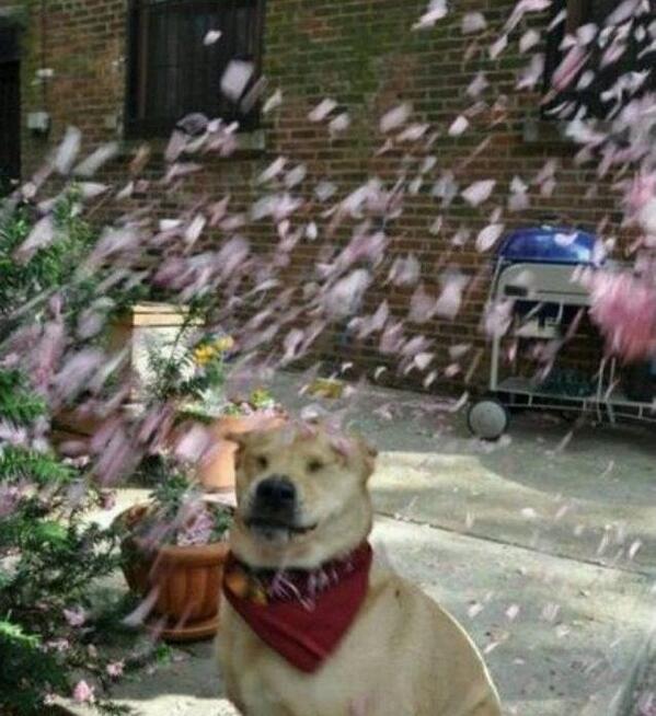 Bora Nam tweet media