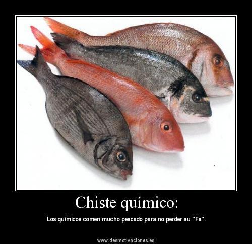 Ggl_Csm's tweet photo. #fyqaristos este si es bueno http://t.co/fPmWrBL4Xc