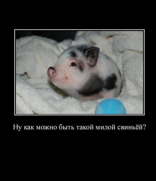 smart0088 tweet picture