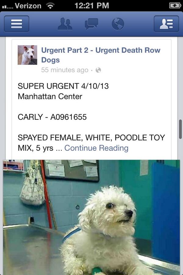 JenaSpano's tweet photo. Urgent rt http://t.co/oylgjitFO9