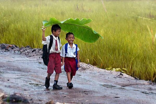 NaturPictures's tweet photo. Día Universal del Niño: la importancia de la amistad en la infancia.
http://t.co/vUUx3MoKPX