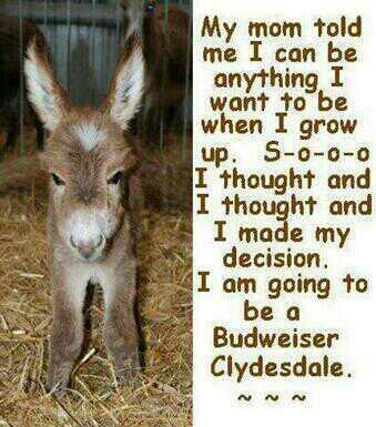 helpfulhints101's tweet image. You can do anything you set your mind to #achieve