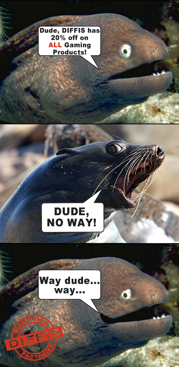 DIFFIS_Official's tweet photo. Meet our two new colleagues at DIFFIS, Moray and Seal! #Dude #Gaming http://t.co/QB8AkrsgUs