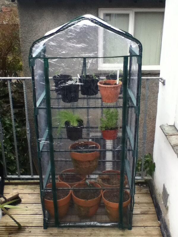 lycan7hrope's tweet image. Mini greenhouse built, jalapeños potted up, nagas next! #chillifarm