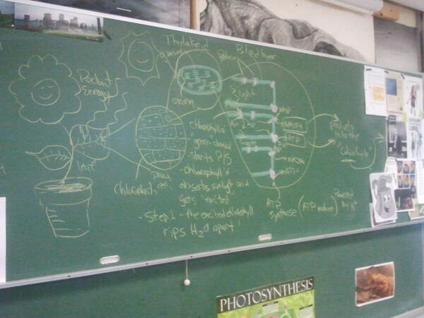 MrP_Bio's tweet image. The light reactions #chalkrules #ripH20