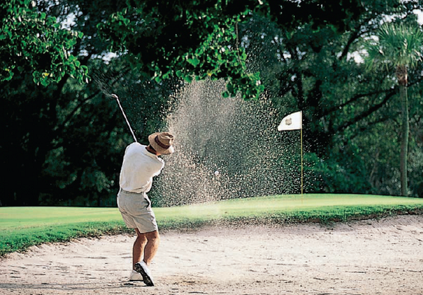 GolfCookBook tweet picture