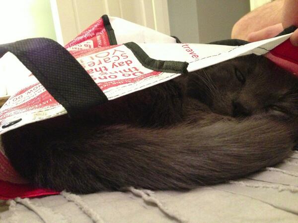 He loves when I go shopping just as much as I do!
