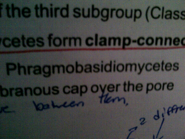 MitchKay_'s tweet image. If you can pronounce this word... You deserve something real special... #biologystudentproblems #pictureplease