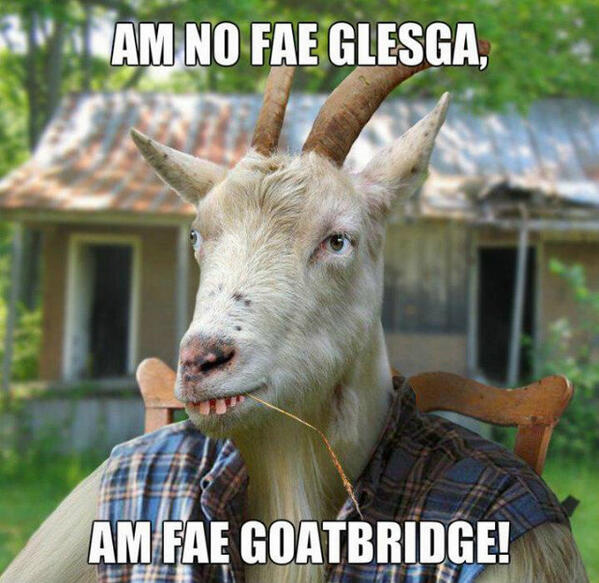 GlesgaGoats's tweet photo. http://t.co/q3Br4JduE6