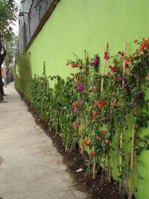 MURO VERDE, LOCALIZADOS EN AVENIDA VASCO DE QUIROGA,COLONIA SANTA, BARDA PANTEÓN SANTA FE.