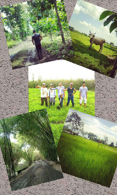 Piero_Galliani's tweet image. @palestina #daddysteps #dayofwork #hellyeah!