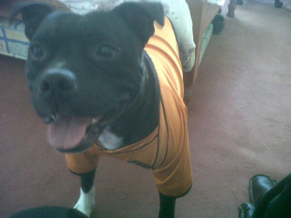 whaleywolves's tweet photo. @BBCSport. #myfirstfootballkit. http://t.co/amGb90p2Xq