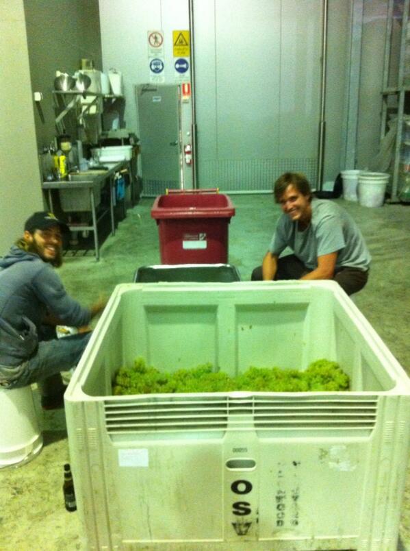 Two crazy guys hand crushing 500kg of chard @ JCW!