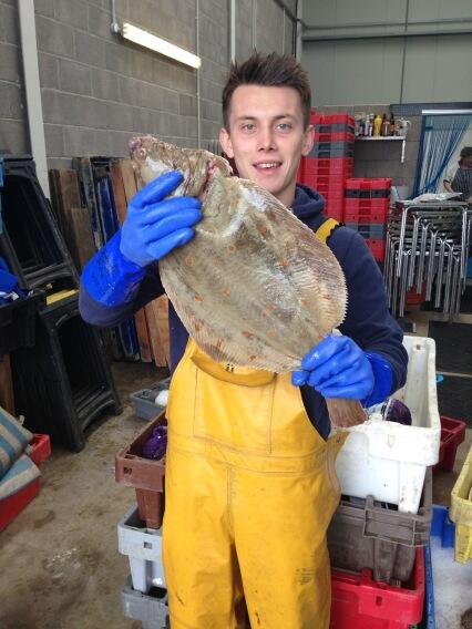 HPShellfishCo's tweet image. Large #Dorset Plaice caught and packed today for tomorrow's market #Parliament Hill @Londonfarmers