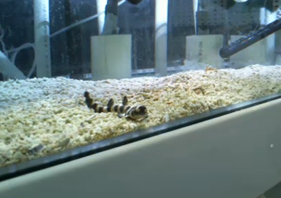 It's rare, but look what we managed to see a few moments ago...