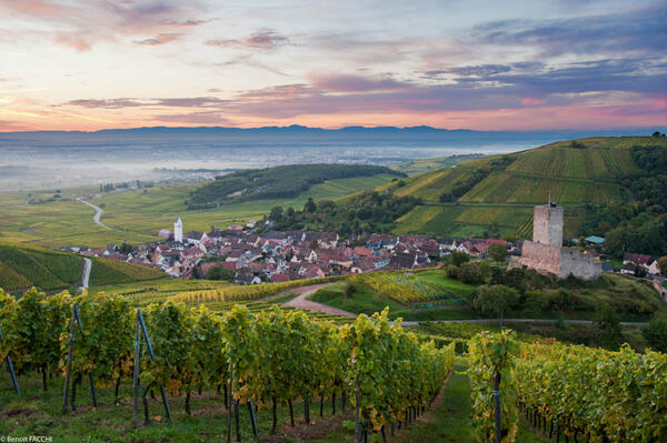 ClubVignobles's tweet photo. Have you heard about the Grand Cru Wineck Schlossberg in Alsace ? #Wines #Alsace #Paulblanck http://t.co/Quuuj9CGbA
