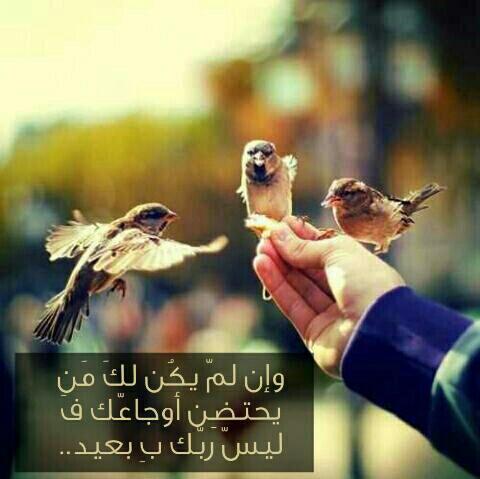 alhrreef's tweet photo. فكرت بالدنيا واثر ما بها شيء 
   مدري علام الناس تركض وراها http://t.co/DQwhk391Gb