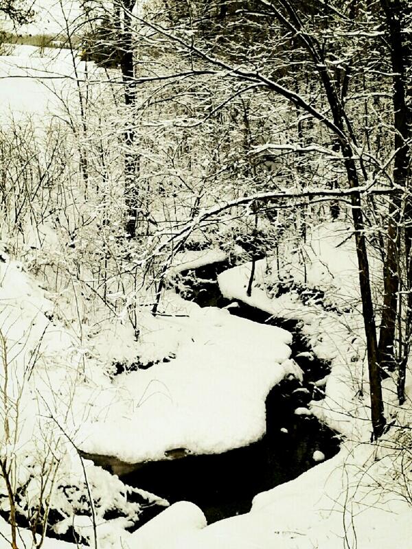 nikoleruth's tweet photo. At least its a pretty snow.... #springcancomenow #MN http://t.co/WTZwX35JR2