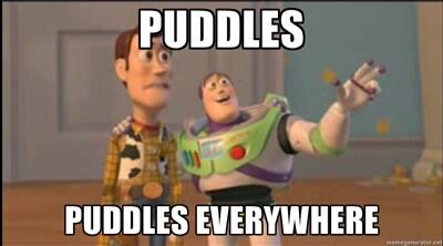 Abby_Cadabbyyy's tweet image. This morning I played a fun game called avoid hitting people and puddles on Chancellor's.  #almosthitafew #ofboth