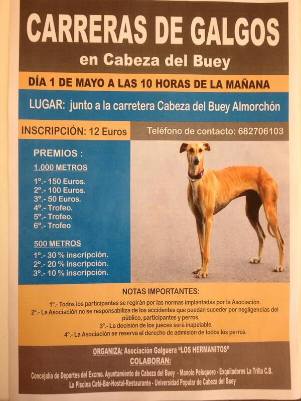 LAPISCINA_CB's tweet photo. La piscina os invita a la gran carrera de galgos que se celebra en Cabeza del Buey el día 1 de Mayo http://t.co/zA3lqK6Hau