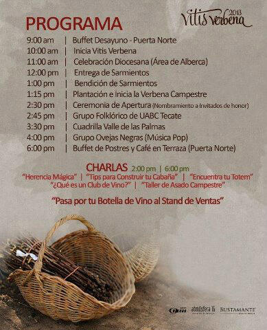 Paseo Dominguero LISTO; a escalar piedras y montañas con mis hijos. Vitisverbena en Rancho Tecate