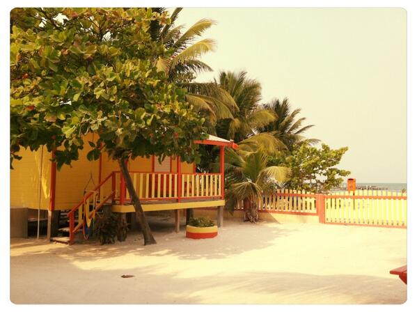 Went on an amazing snorkeltrip and saw a lot of stingrays and nurse sharkes! Now just chillin #cayecaulker #belize