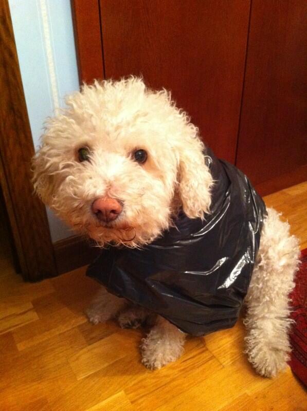 martukituki5's tweet photo. Mi chiquitina http://t.co/WVc1HLgXhQ