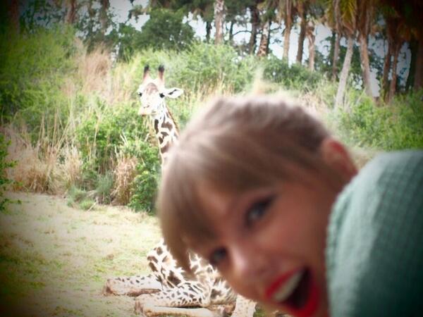 Taylor is Queen tweet media