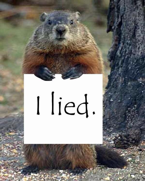 thinzman's tweet photo. Ground hog...you're fired. http://t.co/oft6VpulPv