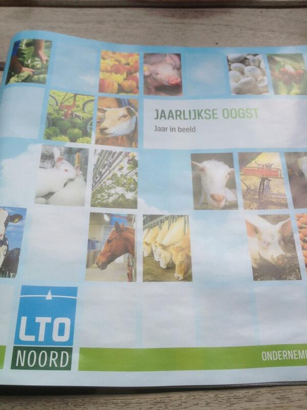 Mooie jaarlijkse oogst #ltonoord en klasse vormgegeven.