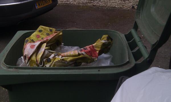 Mice have got the better of #HarryHaddock
