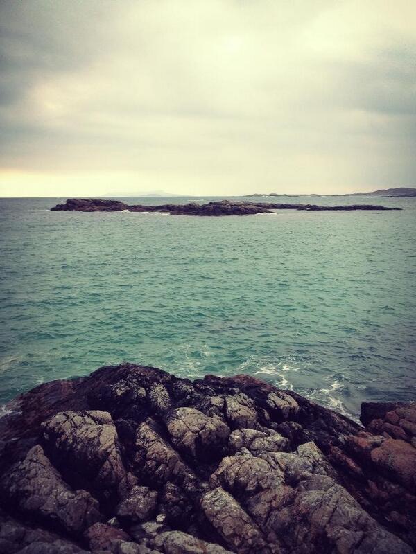 sheilanne_rose's tweet image. Missing Coll :( #projecttrust