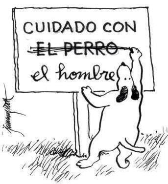 perritocallejer tweet picture
