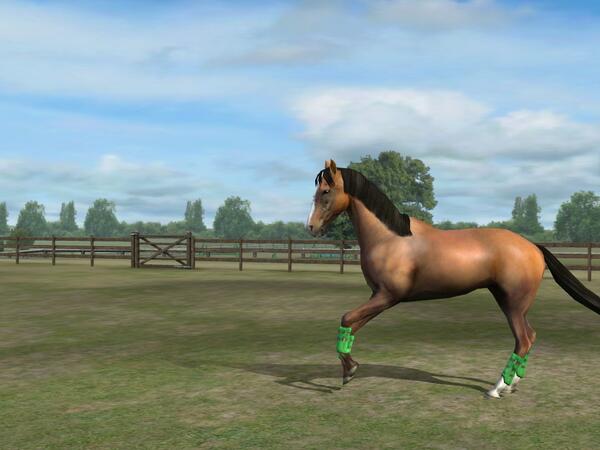 sissykonrad's tweet photo. Check out my photo! Add me, SissyKonnie. #MyHorse http://t.co/WEGZZmycrp http://t.co/o766IQQl4E