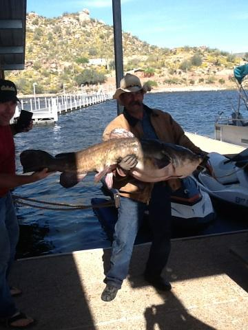 AzFishingGuy's tweet photo. Az Record Cat http://t.co/sZk4v2plER