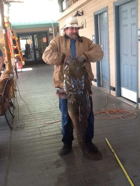 AzFishingGuy's tweet photo. Az Record Cat http://t.co/K0ie17rII0