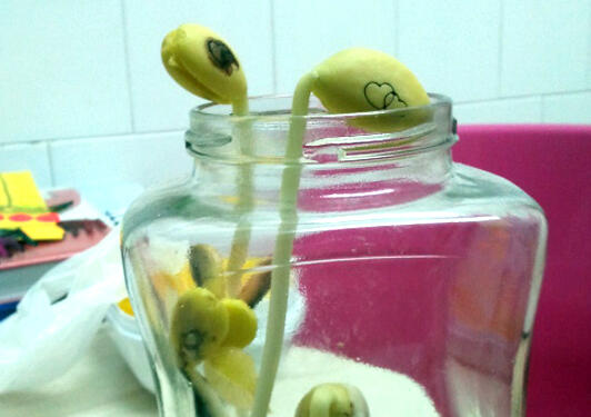 ASAnalysis's tweet image. What a great day, love you all!... s.sociopal.com/14lwt94