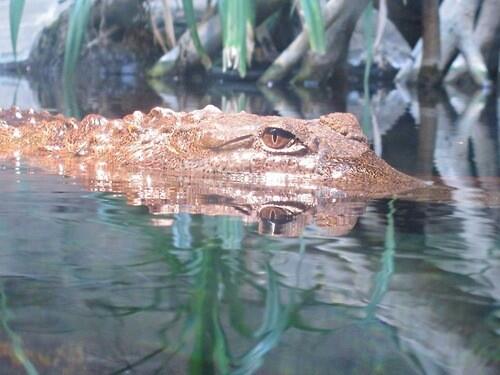 Watch GuadaLean's leaked NSFW photo on TwXstars