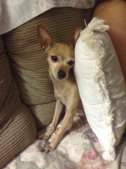 Watch GuadaLean's leaked NSFW photo on TwXstars