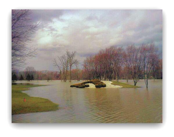 AllAcrossAmeric's tweet image. Burning Tree CC (MacombMI) is under a Great Lake of Water. A Must See. Using clubs for oars on par fours.#BurningTree