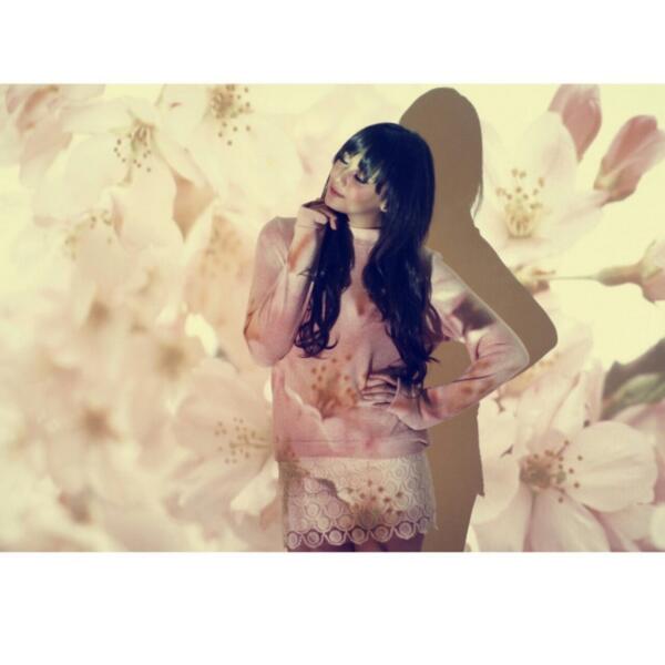 CΛNVΛS tweet media