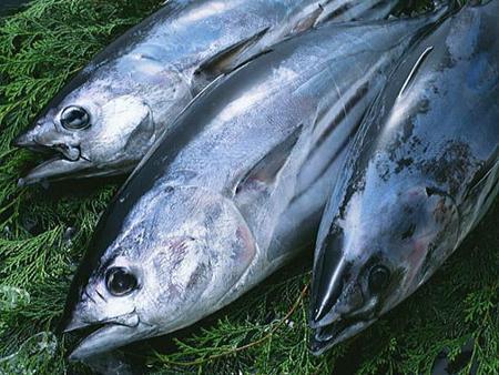 ぎょ////ぎょぎょぉっ////